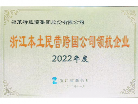 2022年度浙江本土民營跨國公司領航企業